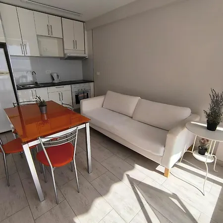 2 Apartments 50M From The Las Americas Promenade * Playa de las Americas (Tenerife)